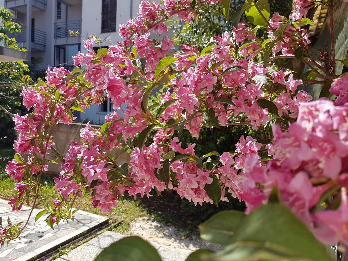 רוביני Apartments Ella מראה חיצוני תמונה
